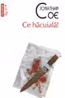 Ce hăcuială!