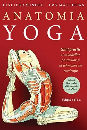 Anatomia Yoga