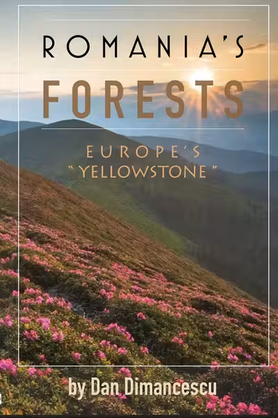 Romania's Forests: Europe's "Yellowstone"
