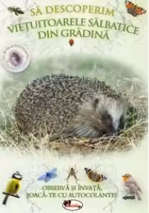 Să descoperim viețuitoarele sălbatice din grădină