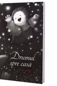 Drumul spre casă