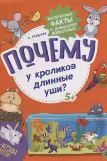 Почему у кроликов длинные уши? Интересные факты о домашних животных