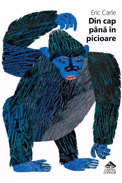Din cap pana in picioare