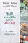 Plante medicinale pentru frumusete.