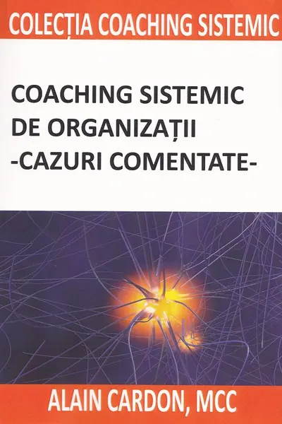 Coaching sistemic de organizatii