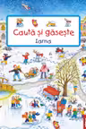 Cauta si gaseste - Iarna