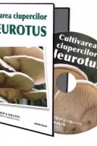 Afaceri la cheie pe CD - Cultivarea ciupercilor Pleurotus