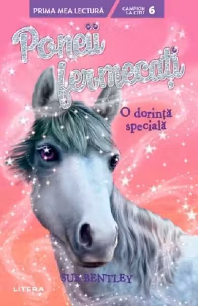 Poneii fermecati - O dorinta speciala