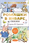 Ромашки в январе