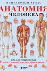 Анатомия человека. Популярный атлас. Самые подробные анатомические изображения