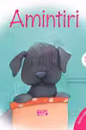 Amintiri