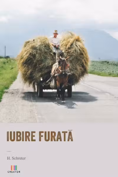 Iubire furată
