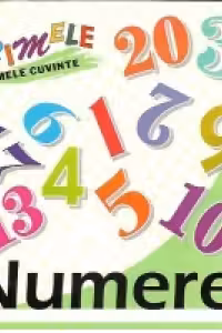 Primele mele cuvinte - Numere