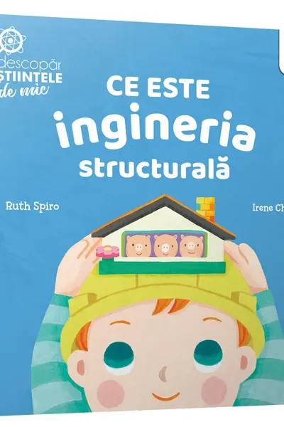Ce este ingineria structurala