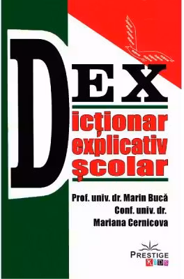 Dicționar explicativ școlar