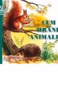Cum se hranesc animalele