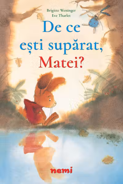 De ce esti suparat, Matei?