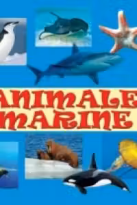 Minialbum Animale Marine