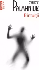 Top 10+ Bintuitii