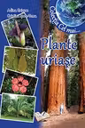 Plante uriașe