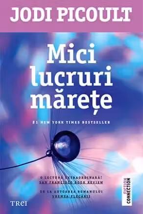 Mici lucruri marete - Jodi Picoult. De la autoarea romanului Vremea plecarii