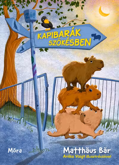 Kapibarak szokesben