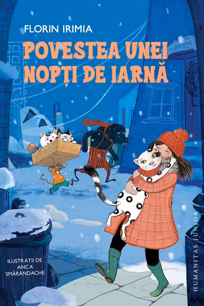 Povestea unei nopti de iarna