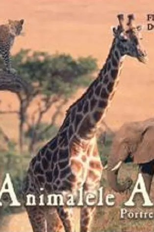 Animalele Africii