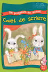 Copilasi isteti. Ne pregatim de scoala 6-7 ani. Caiet de scriere.