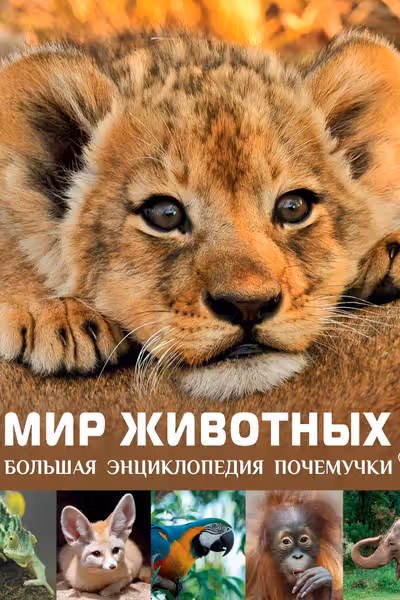 Мир животных
