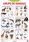 Descopera! Grupe de animale (planse educationale)