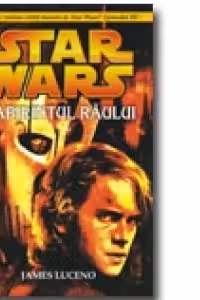 LABIRINTUL RAULUI