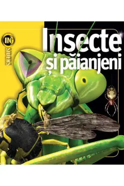 Insecte si paianjeni