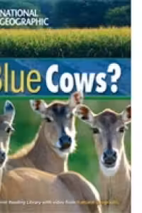 Blue Cows? + DVD