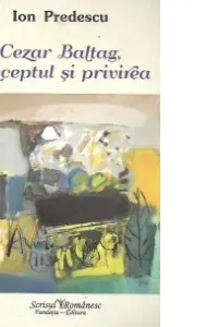 Cezar Baltag, conceptul și privirea