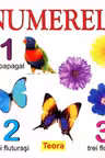 Numerele. Teora