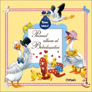 Primul Album Al Bebeluşului