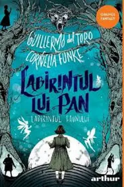 Labirintul lui Pan: Labirintul faunului
