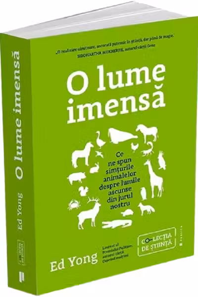 O lume imensa