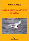 Iulica are un motor in gat...