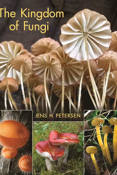 The Kingdom of Fungi