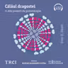 Călăul dragostei (audiobook)
