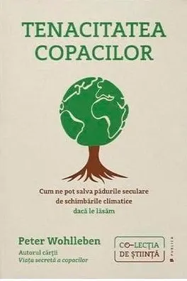 Tenacitatea copacilor