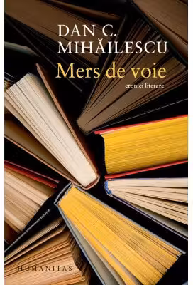 Mers de voie