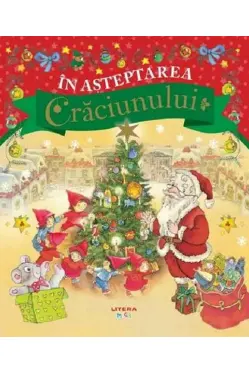 IN ASTEPTAREA CRACIUNULUI