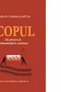 Scopul 1. Un proces al imbunatatirii continue