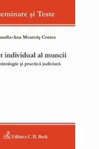 Drept individual al muncii - Terminologie si practica judiciara