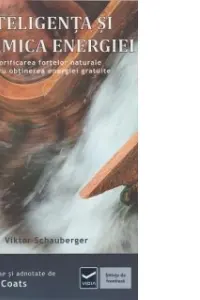 Inteligenta si dinamica energiei