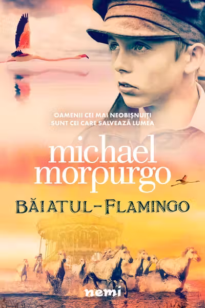 Baiatul flamingo