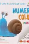 NumeroColor - Initiat